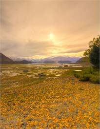 81 Aubrey Road,Bremner Bay Wanaka - 