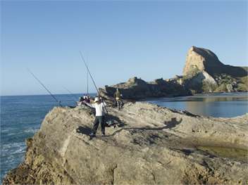 Castlepoint Escape,  Mustering Hut,   - Masterton