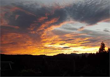 Blue Spur Farmstay - Hokitika