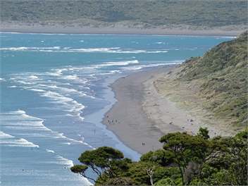 Raglan Retreat - Waikato