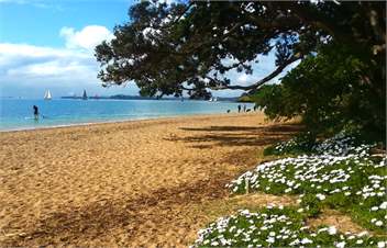 Devonport Studio Accommodation - Auckland