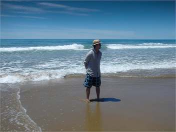 Secluded Haven Near River, Bush, Beach & Havelock - Havelock North
