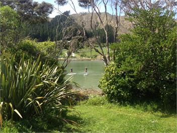 Tata Bach - Golden Bay