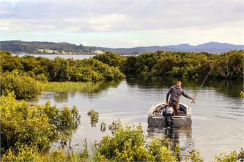 Mangrove Bach - kaitaia