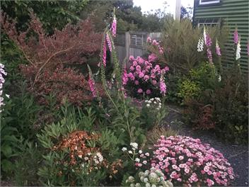 The House on Kamahi - Stewart Island