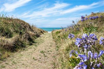 Beach Retreat (Bachcare) - Ohope Beach
