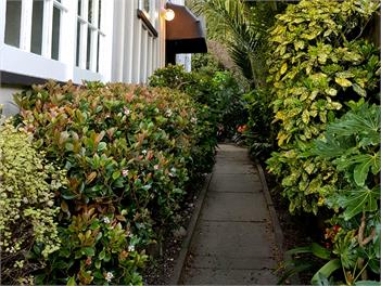 Tiromoana Beachfront Cottage in Worser Bay - Wellington