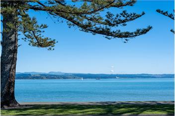 Ahuriri Beachfront Villa - Napier