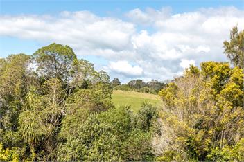 Sunny & Spacious Palm Beach Studio - Waiheke
