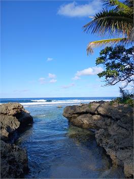 Costal Retreat Holiday home - Rarotonga