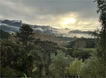 Kotare - Touch of Tuscany in Matakana - Matakana