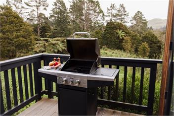 Hidden Springs Retreat (Bachcare) - Waihi