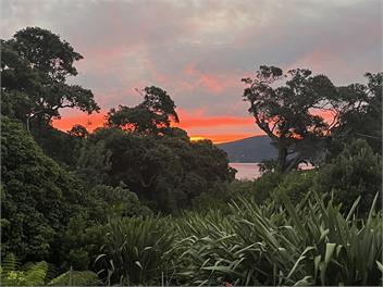 MulberryGrove Retreat - Great Barrier Island (Aotea Is