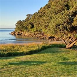 The Cove Matarangi - Richardsons -