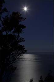 Pacific Vista - May to Nov SPECIAL- Book 5 nights get 2 more nights free - tairua