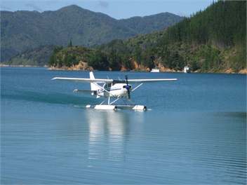 Cissy Bay Cottage & Studio, Pets Welcome, Studio Wheelchair Friendly. - French Pass 7193