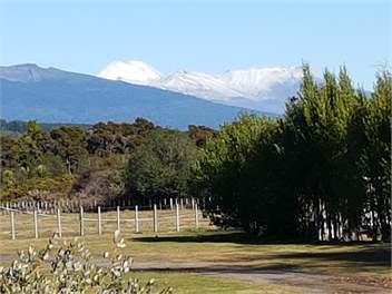 Taupo Cottage near Turangi - Tauranga/Taupo River area