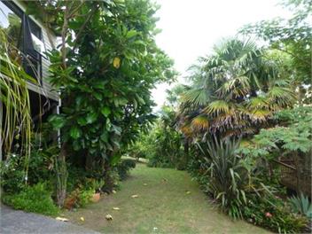 The Grove - Whangamata