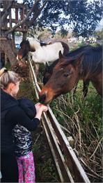Ahipara Love Shack and Surfers Paradise - Northland