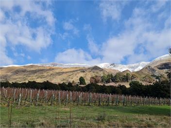 Mt Roy View Apartment - Wanaka