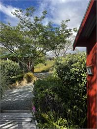 Dehra Doon Chalets - Tasman