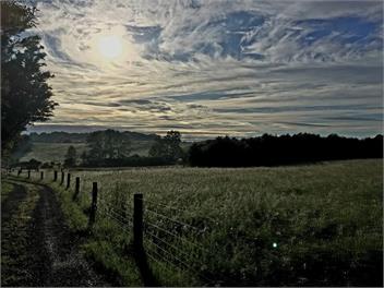 Kotare - Touch of Tuscany in Matakana - Matakana