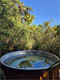 Treescapes - Rainforest hot tub - Punakaiki