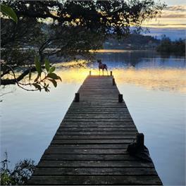 The Bach - Rotorua