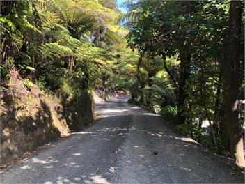 Karamu - Picton RD2