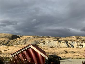 The Old Orchard Cottage - St Bathans