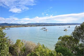 Heart of Moeraki - Moeraki