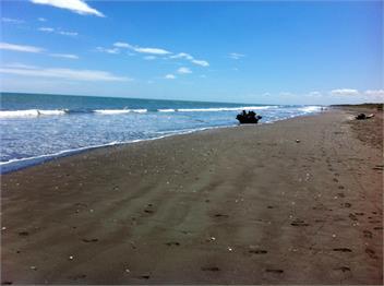 Peaceful Beach Cottage - Otaki Beach