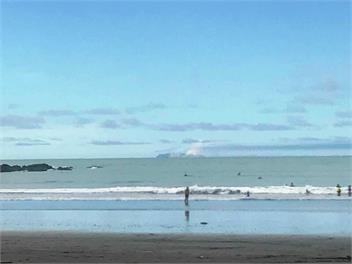 Korimako - Whakatane