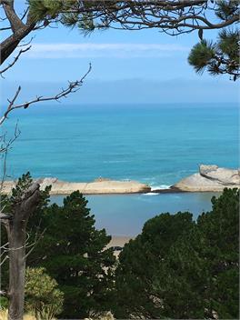 Number 44 - Castlepoint Beach