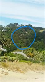 Palm Beach Retreat - Auckland