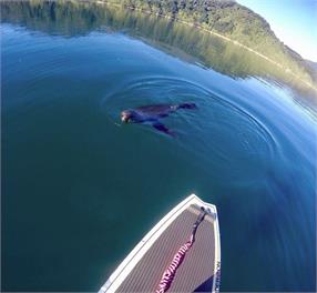 Lanza Retreat (Bachcare) - Tennyson Inlet