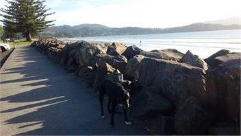 Buffalo Beach Villa - Whitianga