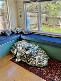 Sunny Bach minutes to beach, golf, park. Perfect for large families or two families! - Masterton