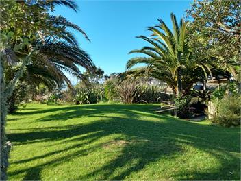 Pahoia Beachstay - The Crab Hut - Tauranga