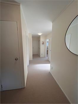 A Hidden Gem - Auckland