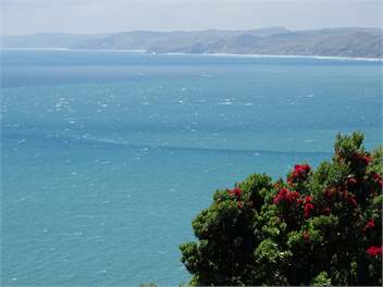 Raglan Retreat - Waikato