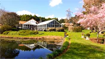 Karaka Point Vineyard & Lodge - Auckland