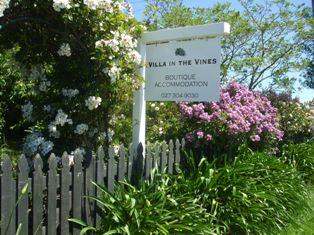  Villa In The Vines - Martinborough  - South Wairarapa