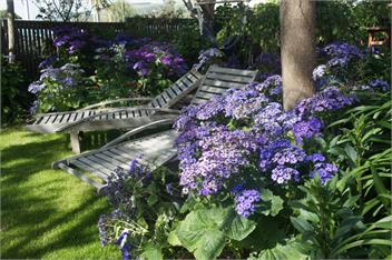 Aquavilla B&B  - Plimmerton