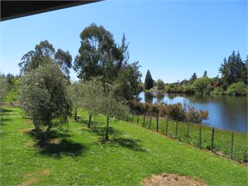 Ranui on Neudorf - Upper Moutere