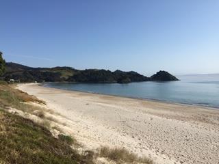 whangapoua bach - coromandel