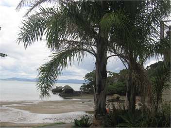 Thistle Do - Whangarei 0174