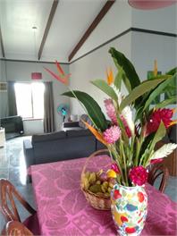 Te Moana Nui Villa - Rarotonga