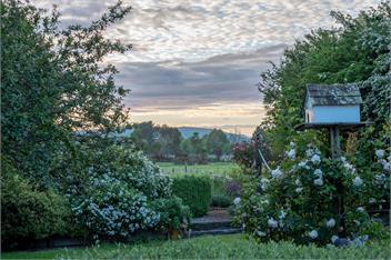 Taraview Cottage - 