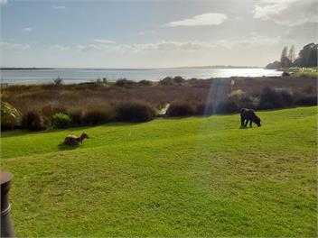 Pahoia Beachstay - The Crab Hut - Tauranga